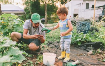 La création d’un jardin original, comment faire ?